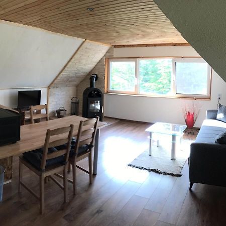 Ferienwohnung Julia 霍恩斯泰因 外观 照片